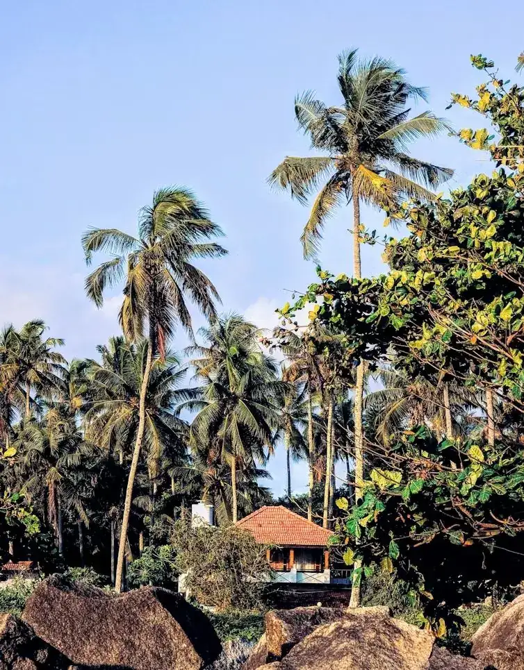 Séjour sous les cocotiers